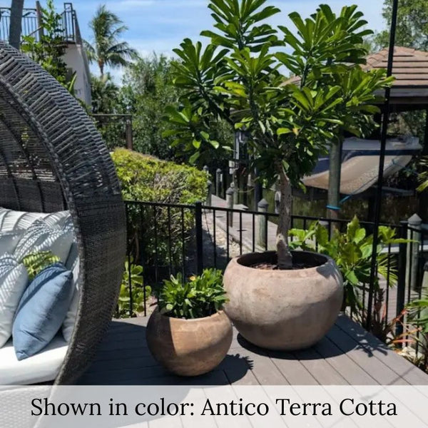 Campania Paseo Bowl Planters  near sunbed.