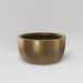 Casablanca Bowl Fiberglass Planter in gloss metallic gold against gray background.