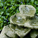 Cascading Hosta Fountain in the backyard upclose.