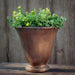 Caterine Urn Planter - Bronze  S/1 on table filled with plants