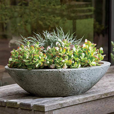 Celine Planter on table filled with plants