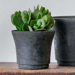 Cloche Planter, Extra Small in charcoal against white backdrop