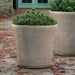 Cloche Planter, Large in brown filled with plants