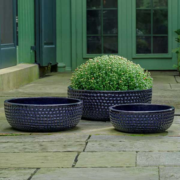 Coin Bowl Planter - Sapphire - S/3 on concrete filled with plants