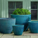 Coin Pot - Aqua - S/4 on concrete filled with plants