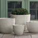 Coin Pot - Pearl - S/4 on concrete filled with plants