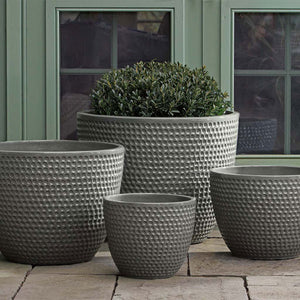 Coin Pot - Pewter Green - S/4 on concrete filled with plants
