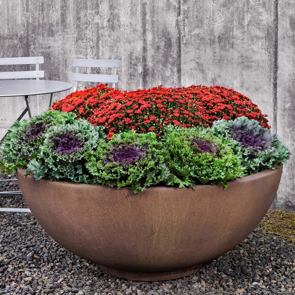 Contour Low Bowl 4719 Planter filled with flowers in the backyard