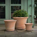 Corda Planter - Terra Cotta - S/3 on concrete filled with plants