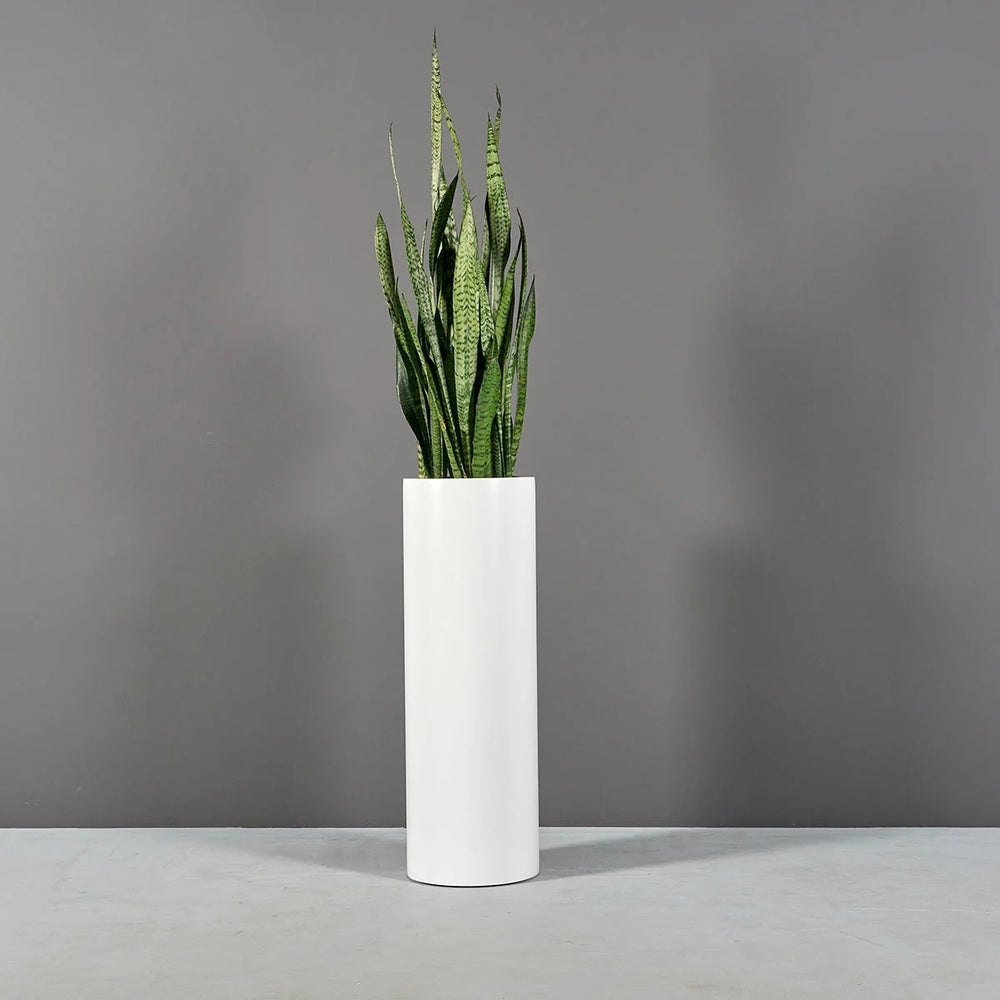 Corry Tall Cylinder Fiberglass Planter on concrete filled with plants.