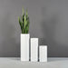 Corry Tall Cylinder Fiberglass Planter shown in different sizes filled with plants.