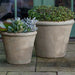 Cortona Planter, Large - Antico Terra Cotta - S/3 on concrete filled with plants