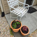 Cortona Planter - Terra Cotta - S/3 filled with plants beside white chair outside the house.