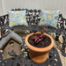 Cortona Planter - Terra Cotta - S/3 on table filled with plants.