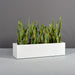 Cuba Low Rectangle Fiberglass Planter in 48 inch length size on concrete filled with plants.
