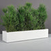 Cuba Low Rectangle Fiberglass Planter in 60 inch length size on concrete filled with plants.