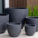 Danilo Planter, Extra Large in charcoal premium lite beside plants.