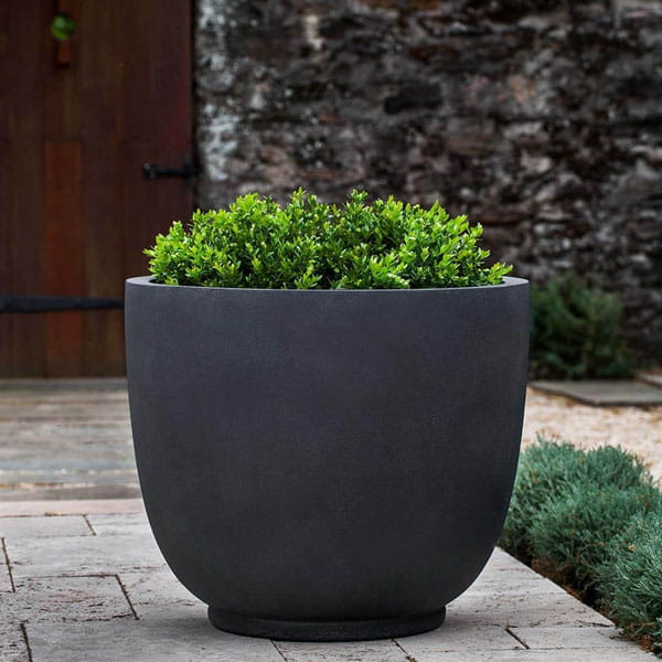 Danilo Planter, Extra Small in lead lite on concrete filled with plants.