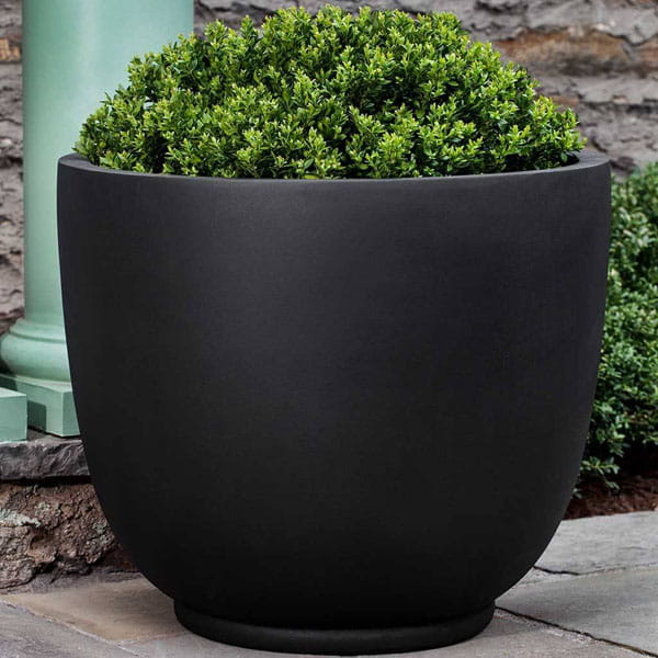 Danilo Planter, Medium in onyx black lite on concrete filled with plants.