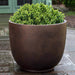 Danilo Planter, Small in rust lite on concrete filled with plants.