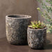 Dao Planter - Fossil Grey - S/8 on table filled with plants