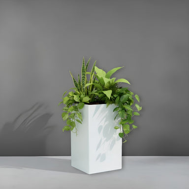 Darwin Tall Corner Fiberglass Planter filled with plants.