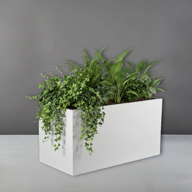 Darwin Tall Rectangle Fiberglass Planter filled with plants against gray backdrop.