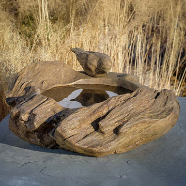 Driftwood Perch on concrete in the backyard.
