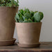 Essential Planter in brown against white background