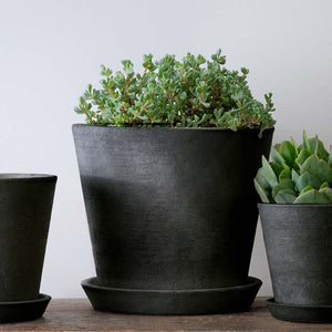 Essential Planter, Large in charcoal filled with plants