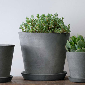 Essential Planter, Large in grey filled with plants