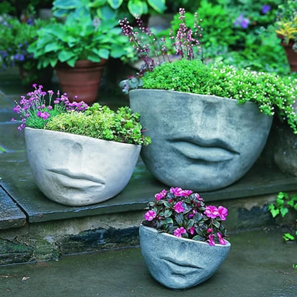 Faccia Planter, Medium Campania International, Natural (NA)