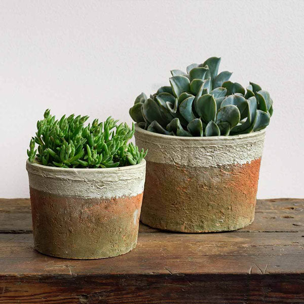 Farmers Pot Cylinder - Cotswold White - S/8 on table filled with plants