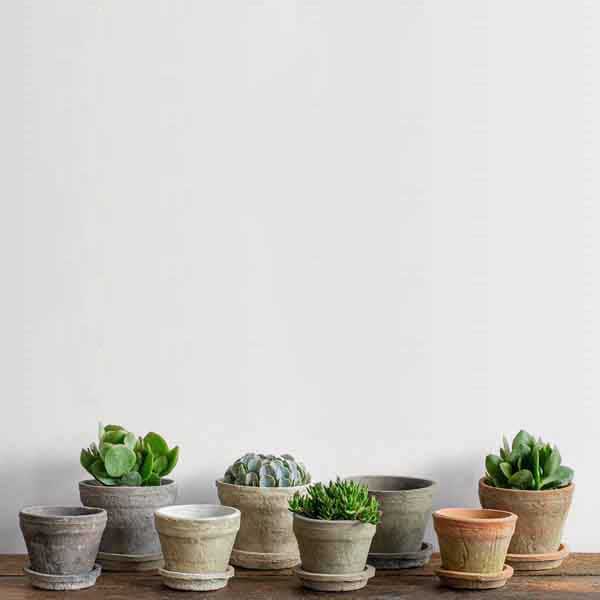 Farmer's Pot Traditional - Mixed - Set of 16