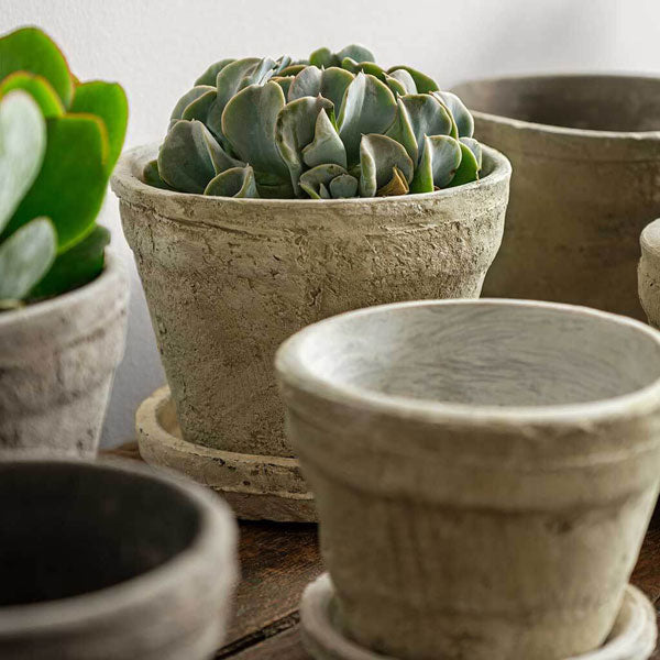 Farmers Pot Traditional Saucers on table filled with plants