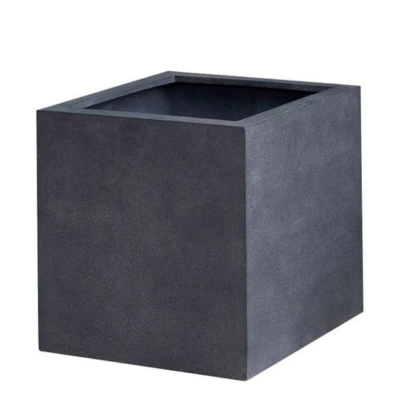 Farnley Planter 1818 S/1 Campania International — The Blissful Place