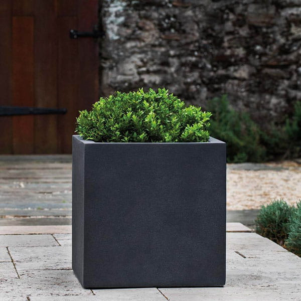Farnley Planter 1818 S/1 in lead lite on concrete filled with plants.