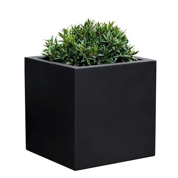 Farnley Planter 2424 S/1 in onyx black lite filled with plants against white background.