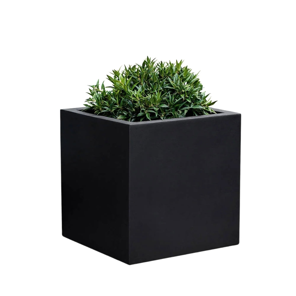 Farnley Planter 2828 S/1 in onyx black lite  filled with plants against white background.