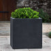 Farnley Planter 3636 S/1 in lead lite on concrete filled with plants.