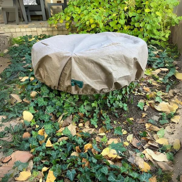 Fountain Cover, Small on green leaves in the backyard, side view upclose