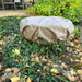 Fountain Cover, Small on green leaves in the backyard, side view