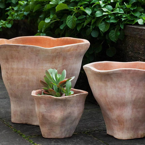 indoor plants for air Buy Best 6 Air Purifying Indoor Plants Pack online from Nurserylive at  lowest price