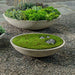 Garden Bowl 24 inch on gravel in the backyard.