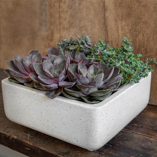 Geo Square Footed Planter - Terrazzo White - S/4 on table filled with cactus