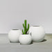 Globe Fiberglass Planter filled with plants shown with different sizes.