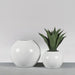 Globe Fiberglass Planter on concrete filled with plants shown with different sizes.