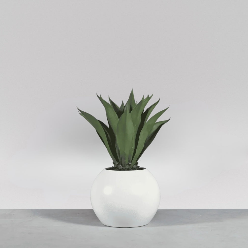 Globe Fiberglass Planter on concrete filled with plants.