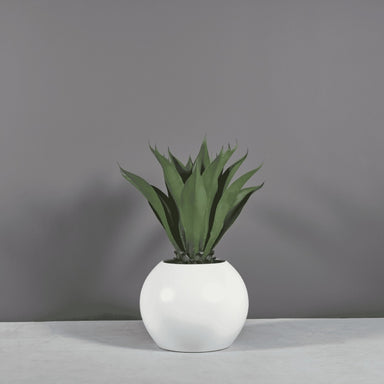 Globe Fiberglass Planter on concrete filled with plants.