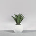 Globe Fiberglass Planter on concrete filled with plants.